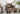 Atina Chair, stylish and comfortable, perfect for adding elegance to any room